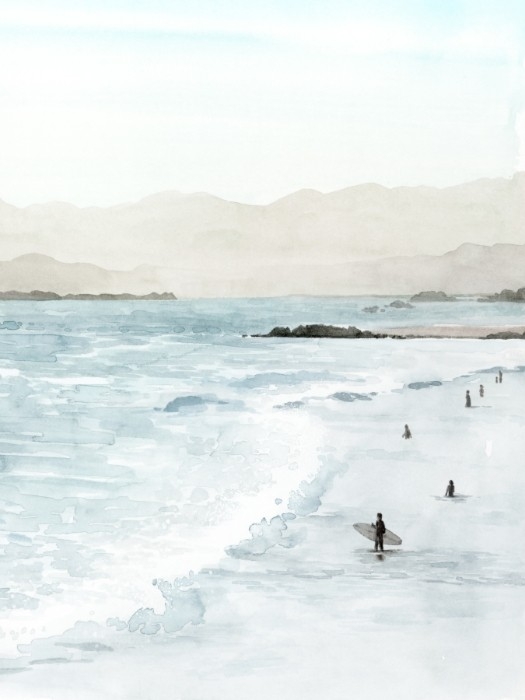 2739831 In the Surf II, Popp