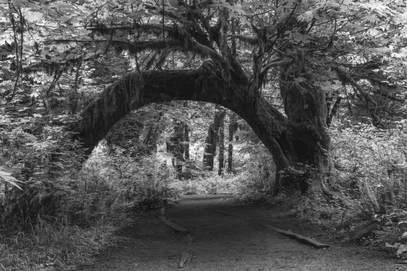 Archway