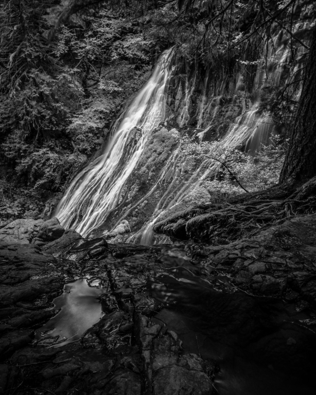 Atop Panther Creek Falls