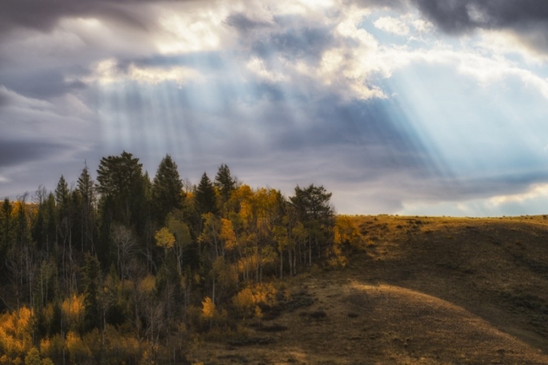 Heavenly Beams