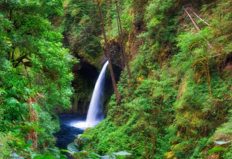 Horsetail Falls