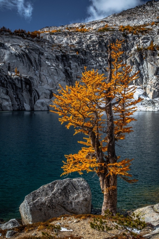 Larch at Inspiration