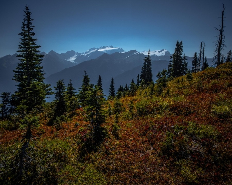 Olympus from the High Divide