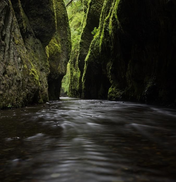 Oneonta Gorge