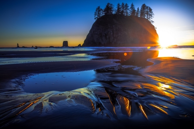 Veins in the Sand